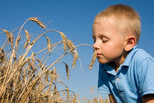 Gluten And Other Food Allergies Are On The Rise In Children: Why?