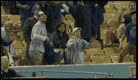 Dad Drops Ball And Daughter At Baseball Game