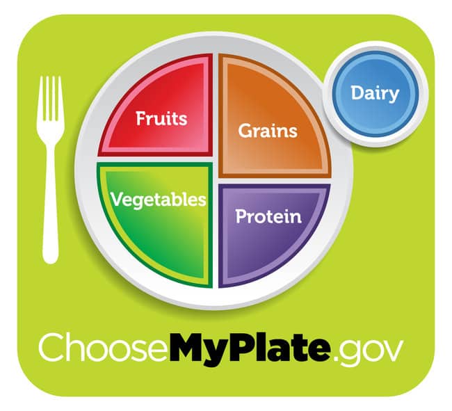 Michelle Obama’s ‘MyPlate’ Makes Nutrition More Accessible To Kids