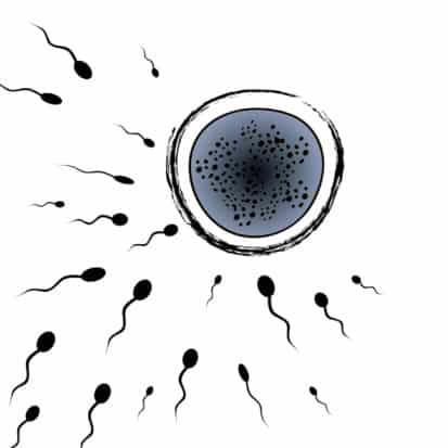Blame Mutant Sperm For Your Partner’s Infertility