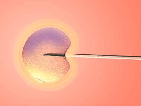 IVF Allows Eggs To Develop That Nature Would Have Excluded