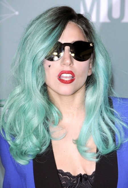 Lady Gaga Wants To Adopt