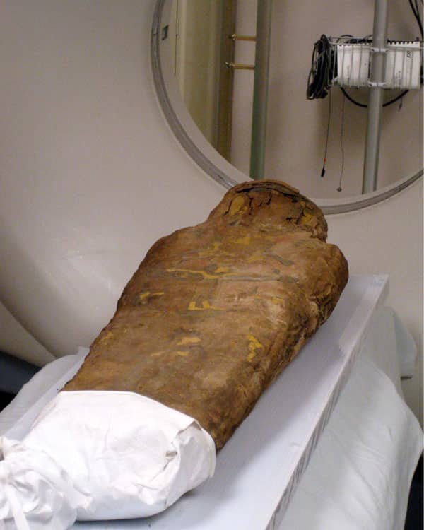 Sex Of Egyptian Child Mummy Mystifies Scientists