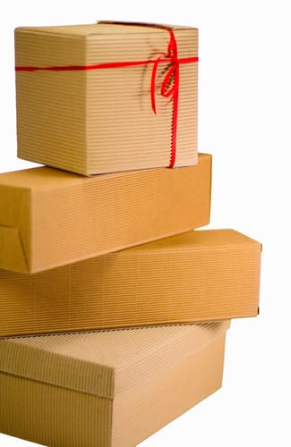 Santa’s Little Helper: Never Get Your Gifts Delivered At Home