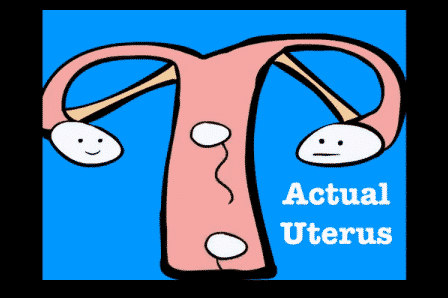 Finally! ‘Legitimate Rape’ Pharmaceutical Ad Shows Uterus Preventing Rape Pregnancy
