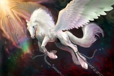 California Police Chase Little Girl’s Runaway Unicorn with Infrared and Helicopters