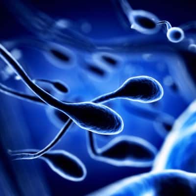 Self-Proclaimed ‘Sperm Whisperer’ Helps Men Take Fertility Matters ‘Into Their Own Hands’ (Pun Intended)