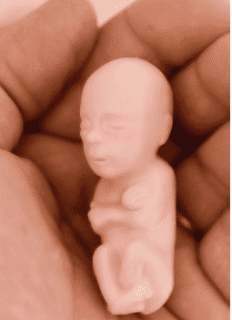 Pro-Life Group Hands Out Squishy Realistic Fetus Dolls To Kids At A State Fair