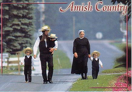 Amish Family To Use ‘Natural Medicine’ Over Chemo For Dying Daughter, Appeals Court Says Hell No