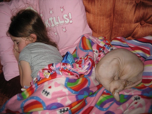 little girl sleeping with hairless cat