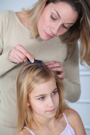 The Facts Of Lice