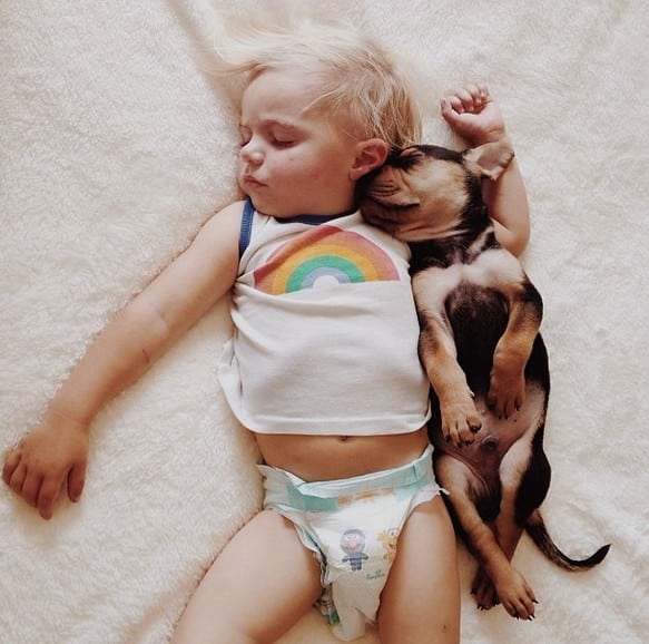 baby and puppy napping