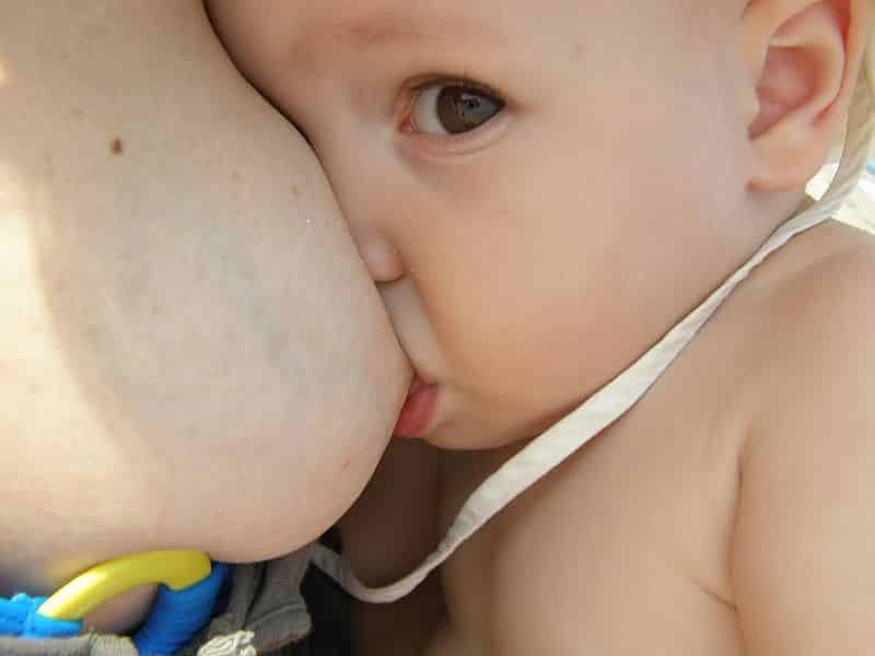judge bans breastfeeding