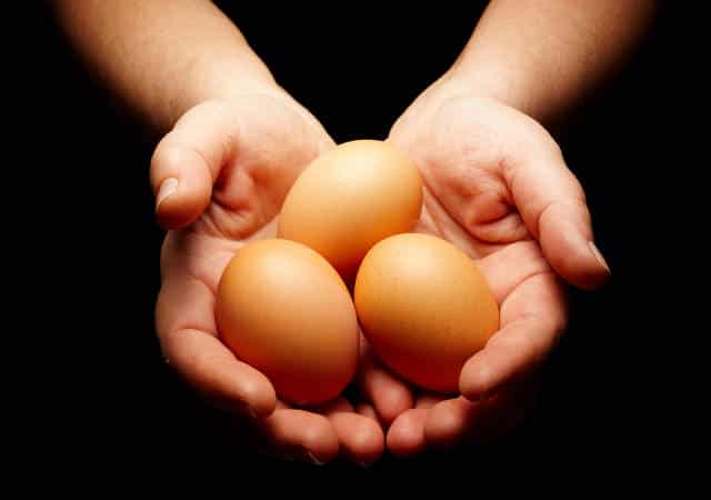 Bullish Life: The Truth About Egg Donation