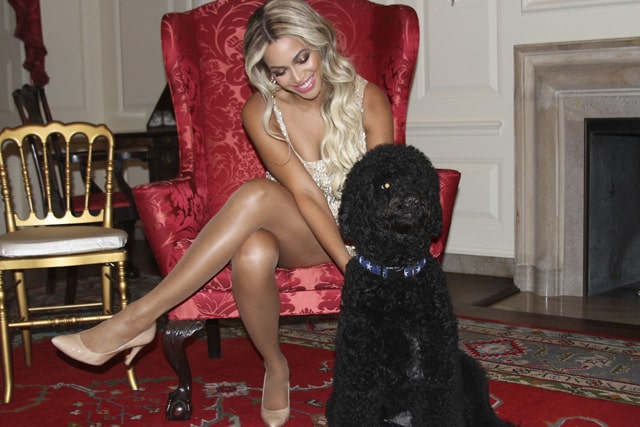 These Pictures Of Blue Ivy Playing With The Obamas’ Dog Completely Upstage Beyonce’s Crazy Sexy Minidress