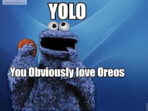 12 Hilarious Sesame Street Memes That Are Sponsored By The Letter F For F-Yeah Awesome