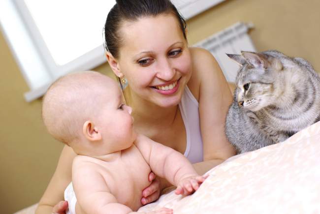 Evening Feeding: Is Your Cat Ready For Your New Arrival?