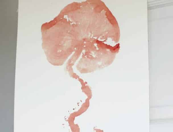 Placenta Crafts For The Mom Who Has A Hard Time Letting Go