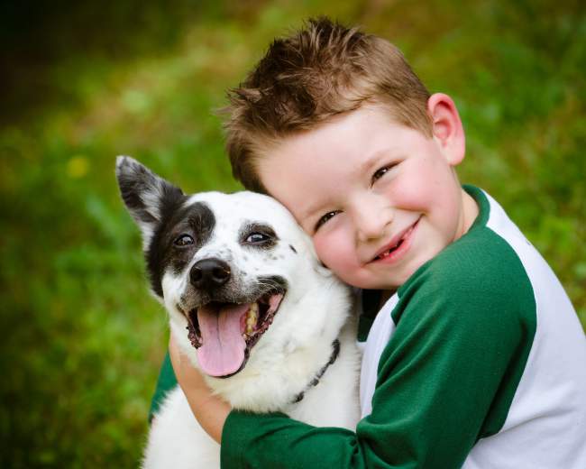 Evening Feeding: 10 Things Your Kid Should Know To Prevent A Dog Bite