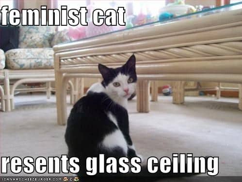 feminist cat