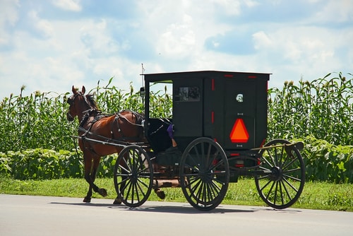 Kidnapped Amish Sisters Were Sexually Abused And It’s Awful That The World Now Knows It