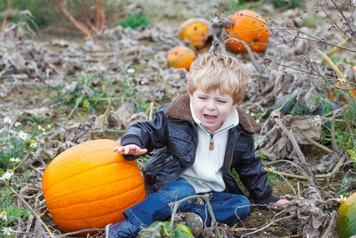 Expectations Vs. Reality: Pumpkin Picking With Young Kids