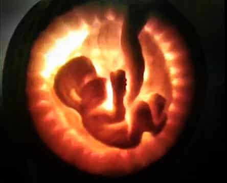 8 Pro-Life Pumpkins For People Who Hate Women’s Rights But Love Festive Crafts