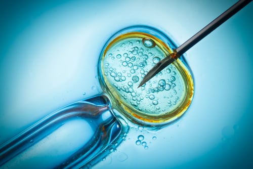 The Mommyish Definitive Guide To Infertility: In Vitro Fertilitzation