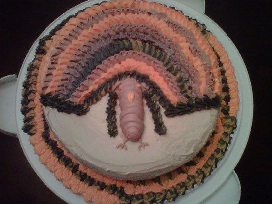 turkey-cake