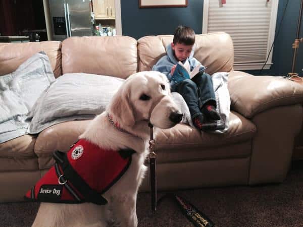 7-Year-Old Epileptic Can’t Take Service Dog To School Because Administrators Refuse To Take Responsibility For It