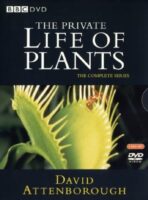 private life of plants