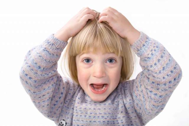 Head Lice Are A Common Problem, But That Doesn’t Make Them Less Terrifying