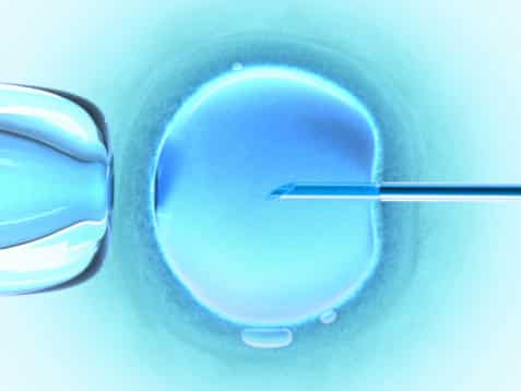 7 More Reasons Why IVF Treatments Rock