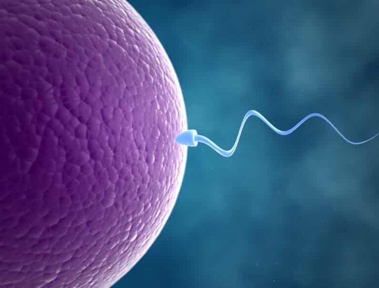 Want To Count Some Sperm At Home? There’s An App For That
