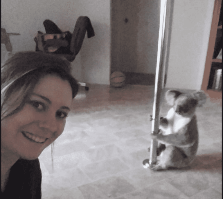 World’s Luckiest Woman Comes Home to Find Pole-Dancing Koala in House