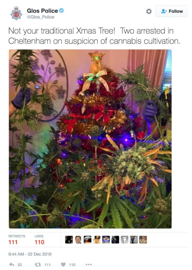 cannabis-christmas-tree