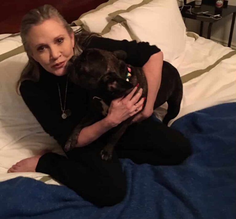 Writer, Actress Carrie Fisher Dies Age 60, Drowned by Moonlight, Strangled by Her Own Bra