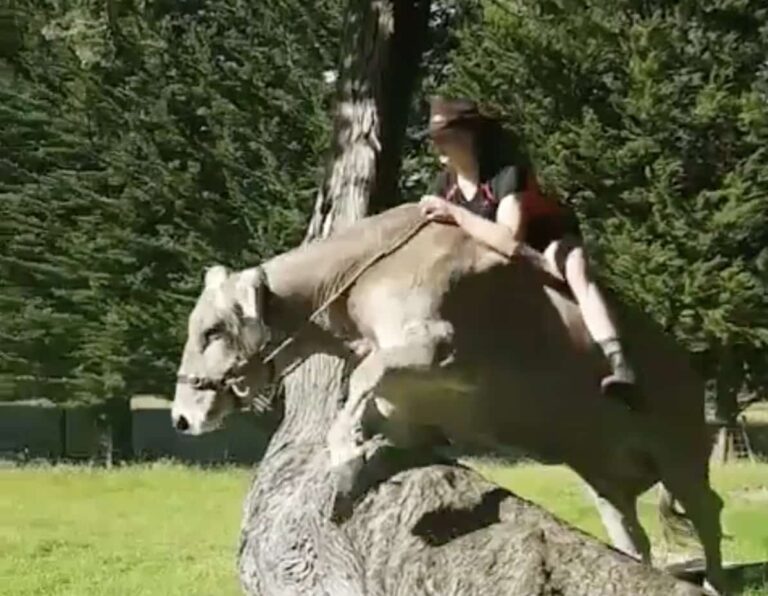 This Girl’s Parents Said She Couldn’t Have a Pony, and What She Did Instead Will Amaze You