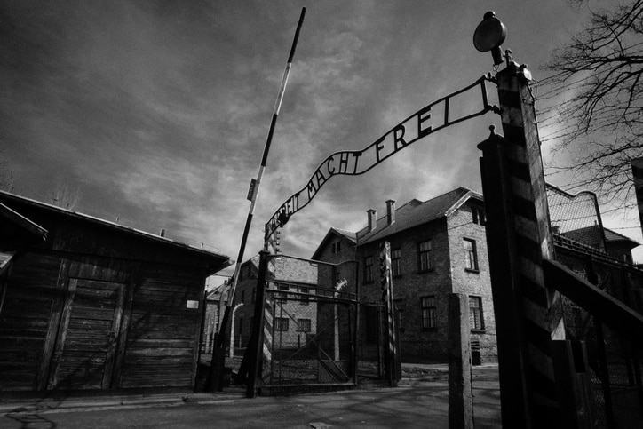 Some Idiot Made an Auschwitz Escape Room