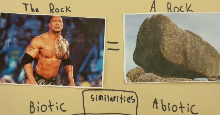 Student’s Project Compares Dwayne The Rock Johnson to an Actual Rock and It Is Awesome