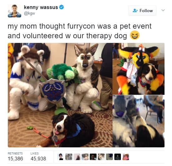 This Nice Mom Thought a Furry Convention Was for Pets and Volunteered With Her Dog