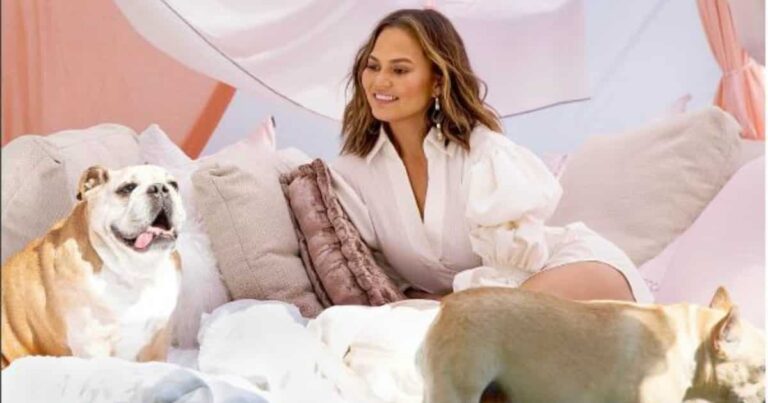 Chrissy Teigen Learns the Hard Way Not to Joke with Journalists After ‘Extensive Plastic Surgery’ Headlines