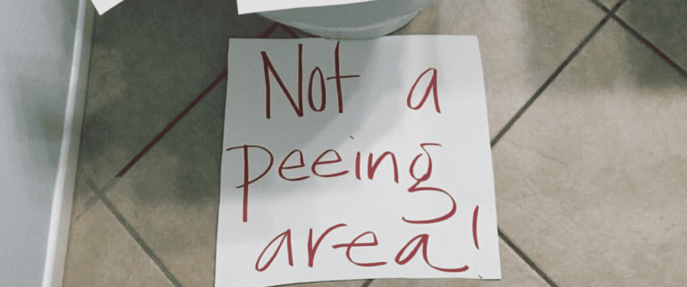 This Mom Went to Hilarious Extremes to Stop Her Boys From Peeing on the Toilet Seat