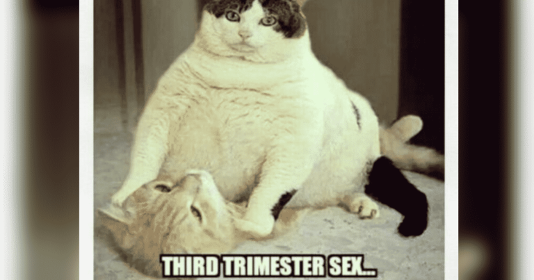 13 Third Trimester Memes to Get You Through the Longest 12 Weeks of Your Life
