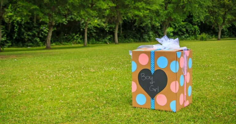 Gender Reveal Shooting Host Was Not Really Pregnant, Police Say