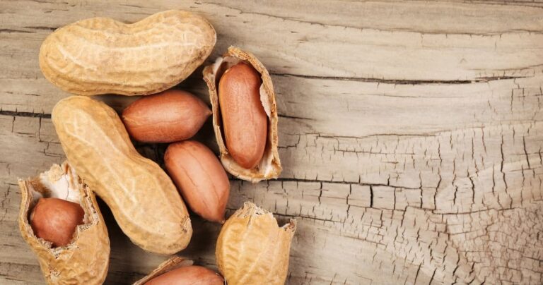 Groundbreaking Immunotherapy Trial Cures Peanut Allergies in Majority of Children