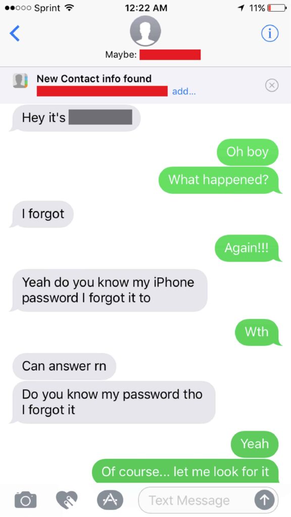 sister stolen phone prank
