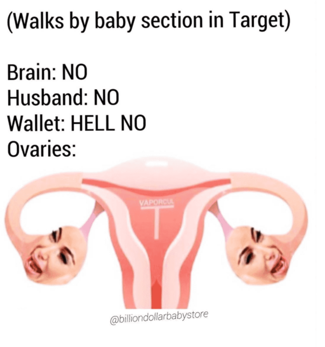 parenting memes damn ovaries