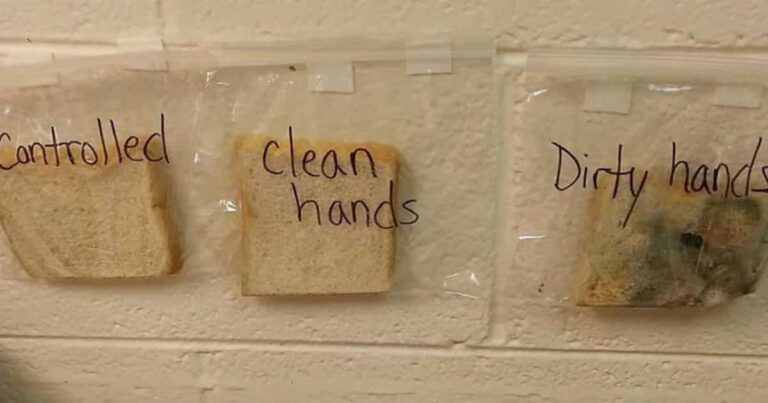 This Life Hack for Getting Kids to Wash Their Hands Is as Gross as It Is Brilliant