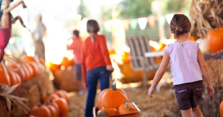 This Mom’s Graphic Facebook Photo Will Remind Everybody to Beware of Ticks at the Pumpkin Patch